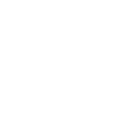 E-commerce Solutions Icon