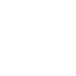 Performance Analytics Icon