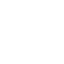 SEO Optimization Icon