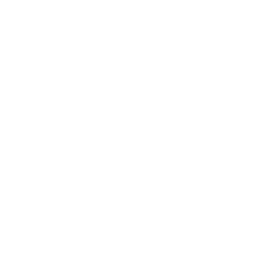 Brand Protection Icon